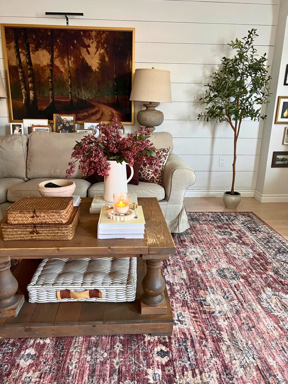 Living Room Table, Couch and Olive Tree
