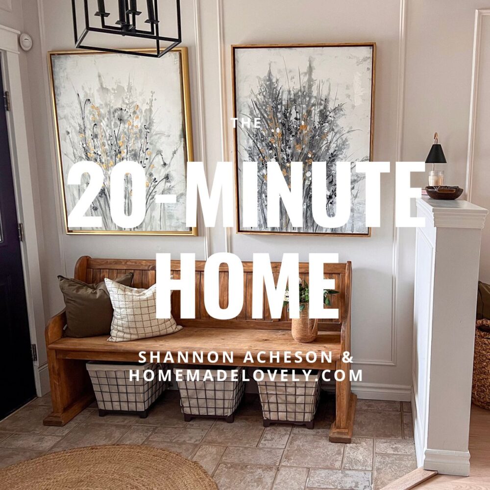 the 20-minute home