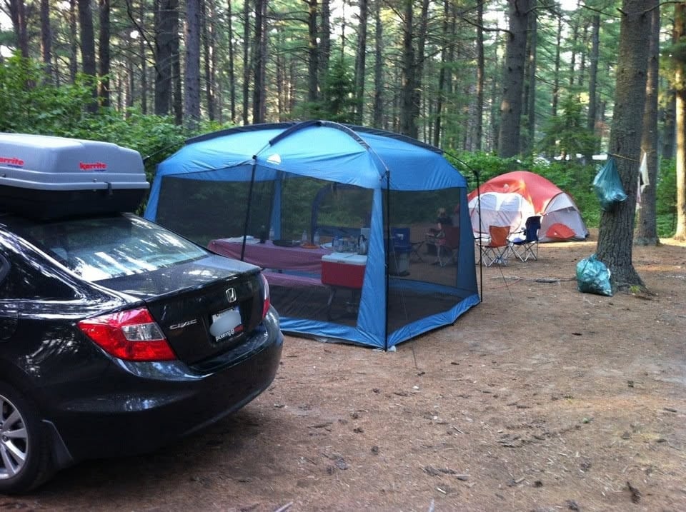 civic and campsite license plate blurred